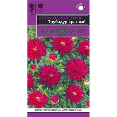 Астра Трубадур красный (Гавр)
