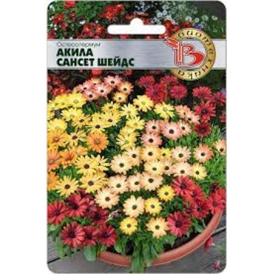Цв.Остеоспермум Акила Сансет Шейдс (Био) 5шт