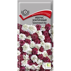 Иберис Гранатовый лед зонтичный (одн) (П)