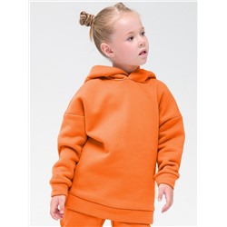UFNK3323 (Толстовка детская, Pelican Outlet )