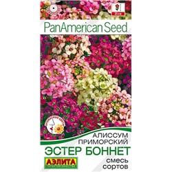Алиссум Эстер Бонет смесь (Код: 93137)