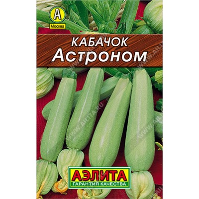 Кабачок Астроном (Код: 93344)