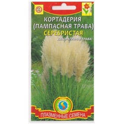 Кортадерия серебристая (Код: 75943)