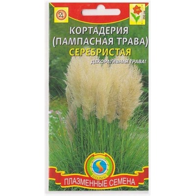 Кортадерия серебристая (Код: 75943)