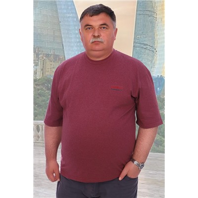Футболка 5933 НАТАЛИ #279384