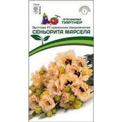 Цв.Эустома Сеньорита Марсела F1 бахромчатая (Партнер) 5шт