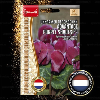 Цикламен Адвантаже Парпл - Advantage Purple Shades F2 (Редкие)