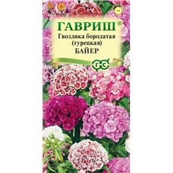 Гвоздика турецкая Байер смесь махровая (Гавр)