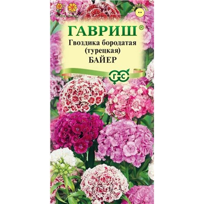 Гвоздика турецкая Байер смесь махровая (Гавр)