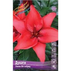 Лилии Дукати 7шт (ИС) ЛА