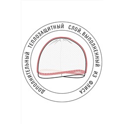 Шапка CLEVER #153614