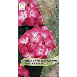 Пеларгония Люстра биколор (комн) (П)