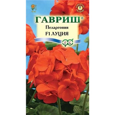 Цв.Пеларгония Луция F1 (Гавриш) 4шт