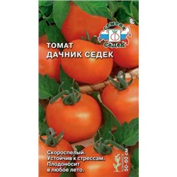 Томат Дачник СеДеК (СеДеК) 0,1г