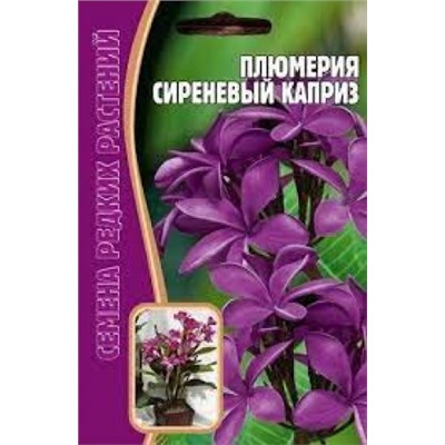 Цв.Плюмерия Сиреневый каприз (Григорьев) 3шт