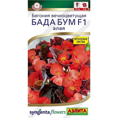 Бегония Бада Бум алая (Код: 93139)