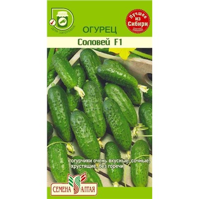 Огурец Соловей (Алтай)