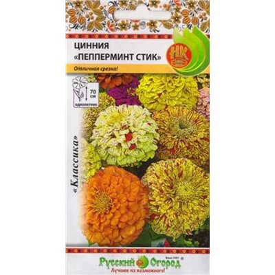 Цинния Пеперминт Стик (Код: 4265)