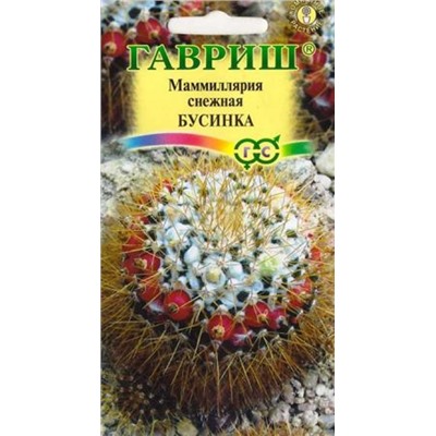 Маммилярия Бусинка (Код: 86989)