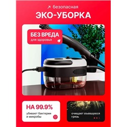 Пароочиститель для быстрой уборки (3448)