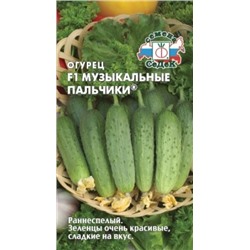 Огурец Музыкальные пальчики F1(Седек) 0,2г