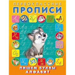Прописи Первоклассные.  Пишем буквы, алфавит 16стр. 21*14см 25052