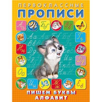 Прописи Первоклассные.  Пишем буквы, алфавит 16стр. 21*14см 25052