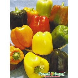 Перец Сиеста F1 (НК) 20шт