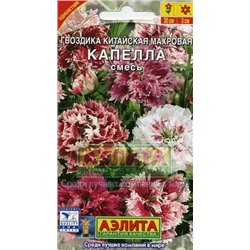 Цв.Гвоздика Китайская Капелла смесь махр. (Аэлита) 0,1г