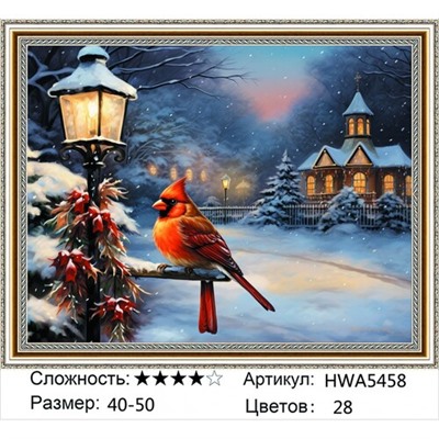 AM45 HWA5458, 40х50 см