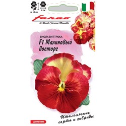 Виола Малиновый восторг F1 (Гавр)