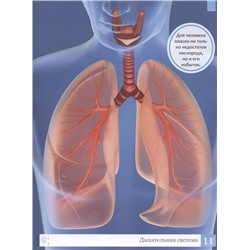 Уценка. Тело человека: энциклопедия