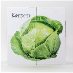 Детские пластмассовые кубики с картинками «Овощи» (4 штуки)