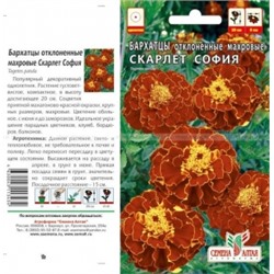 Цв.Барх.Скарлет София махр. (Сем.Алтая) 0,2г