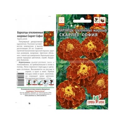 Цв.Барх.Скарлет София махр. (Сем.Алтая) 0,2г