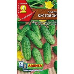 Огурец Кустовой (Аэлита)