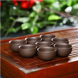 Набор для чайной церемонии керамический «Красная глина», 11 предметов: 8 пиал 50 мл, чайник 220 мл, чахай с фильтром 120 мл, цвет коричневый