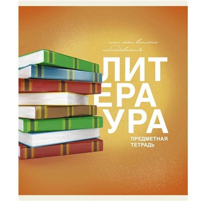 Тетрадь Предмет линия  ЛИТЕРАТУРА 40 л / ОСНОВЫ ТТ408480