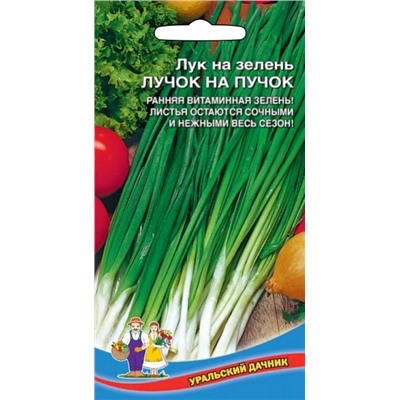 Лук на зелень Лучок на Пучок Ур.Дач