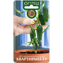 Огурец Квартирант F1 (Био) 8шт