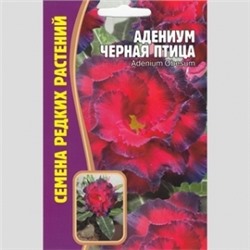 Цв.Адениум Черная птица (Григорьев) 3шт