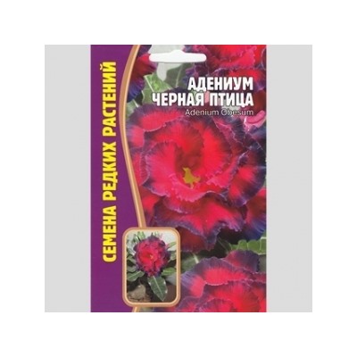 Цв.Адениум Черная птица (Григорьев) 3шт