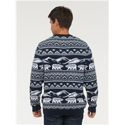 Джемпер мужской 222-12335