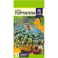 Тыква Тортилла (Алтай)