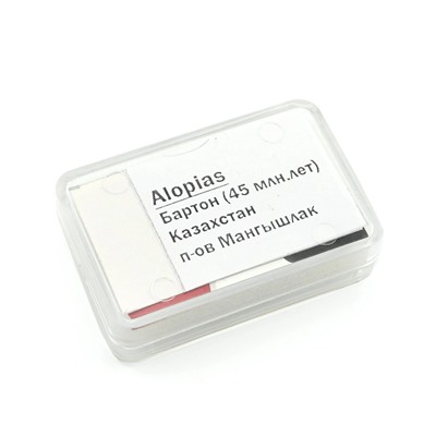 Зубы акулы "Alopias" 5шт. в блистерной упаковке