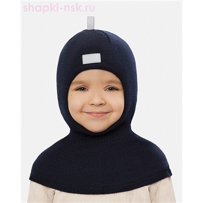 Эймс Шлем (4 года)