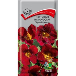 Цв.Настурция Черный трюфель (Поиск) 1гр