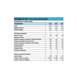 БагираАнТа 827, Брюки,  Джемпер