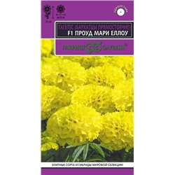 Бархатцы Проуд мари еллоу F1 прямостоячие (Гавр)