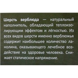 PVSH002 Подушка "Верблюд"  50х70